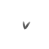 Maven